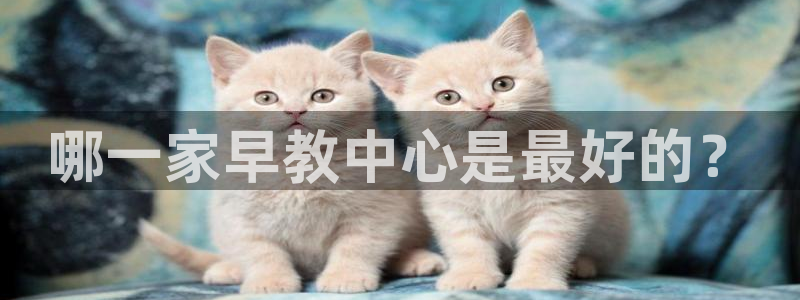 天狮娱乐app：哪一家早教中心是最好的？