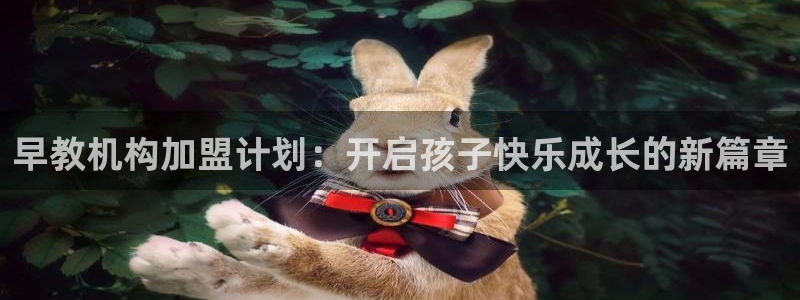 天狮娱乐注册登录：早教机构加盟计划：开启孩子快乐成长的新篇章