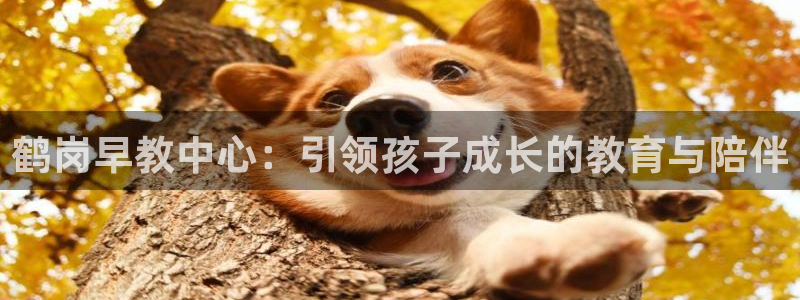天狮娱乐招商帐7O777：鹤岗早教中心：引领孩子成长的教育与陪伴