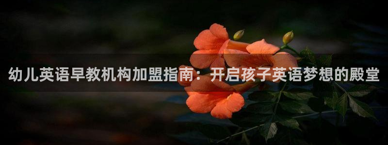 天狮娱乐家：幼儿英语早教机构加盟指南：开启孩子英语梦想的殿堂