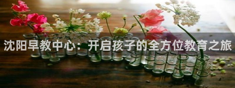 天狮娱乐代理首页：沈阳早教中心：开启孩子的全方位教育之旅