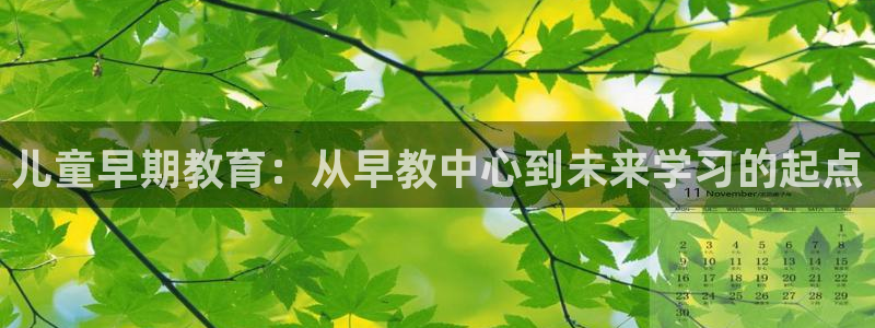 天狮娱乐 138do点c0m：儿童早期教育：从早教中心到未来学习的起点