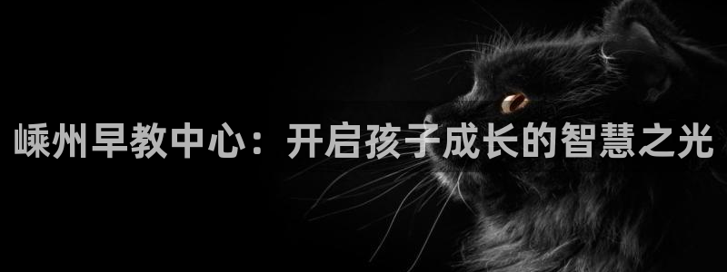 天狮娱乐成立：嵊州早教中心：开启孩子成长的智慧之光