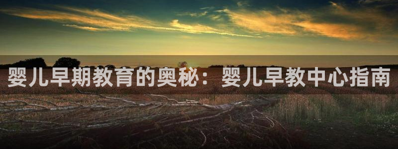 天狮娱乐e招d商98732：婴儿早期教育的奥秘：婴儿早教中心指南