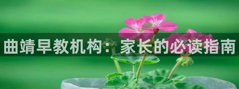 天狮娱乐Q 78139老板：曲靖早教机构：家长的必读指南