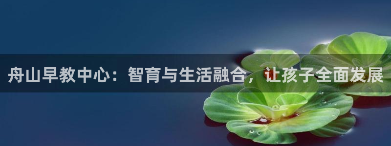 天狮娱乐主管q844389:舟山早教中心:智育与生活融合,让孩子全面发展