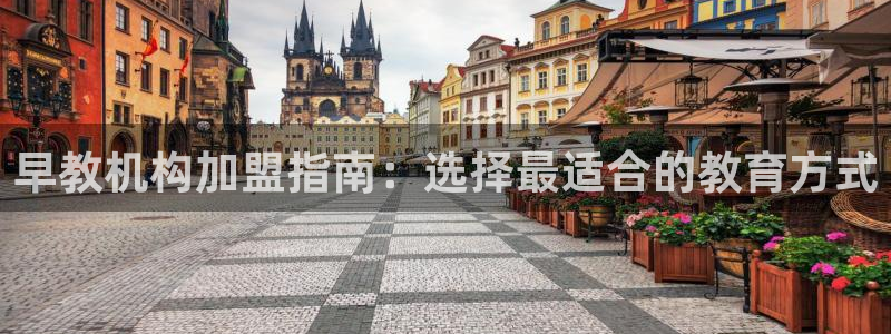 天狮娱乐招商66六26：早教机构加盟指南：选择最适合的教育方式