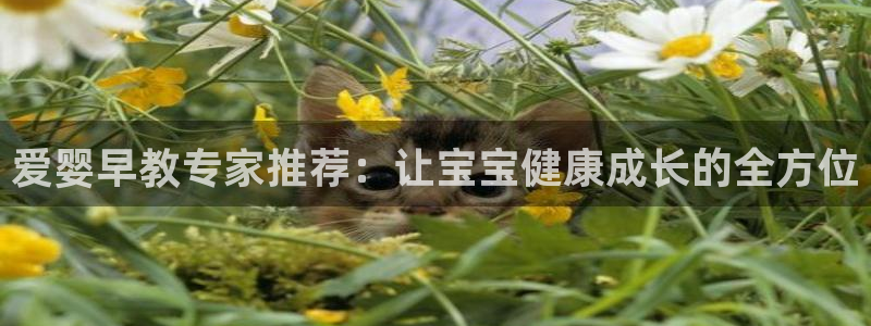 天狮娱乐叶哥：爱婴早教专家推荐：让宝宝健康成长的全方位