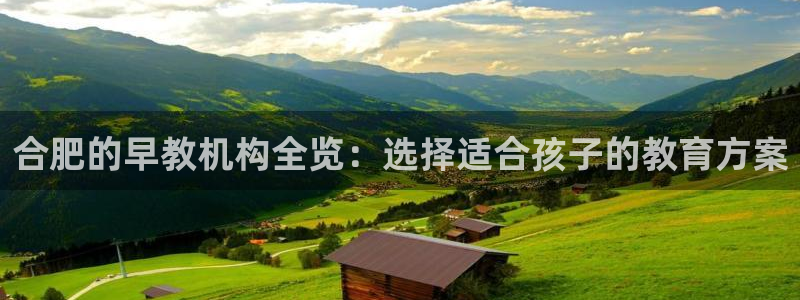 天狮娱乐客服电话:合肥的早教机构全览:选择适合孩子的教育方案