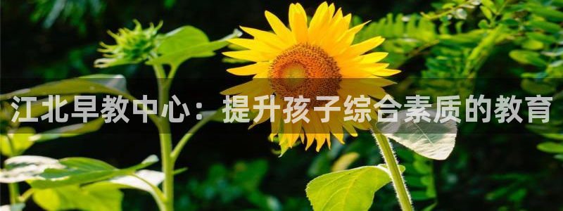 天狮娱乐平台多久:江北早教中心:提升孩子综合素质的教育