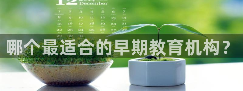 天狮娱乐怎么充钱：哪个最适合的早期教育机构？