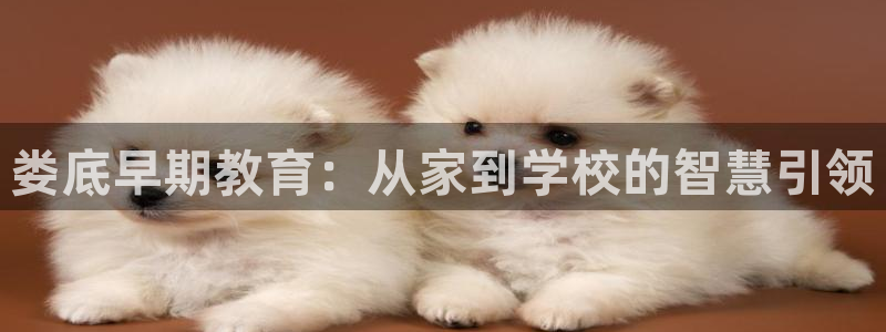 天狮娱乐家：娄底早期教育：从家到学校的智慧引领