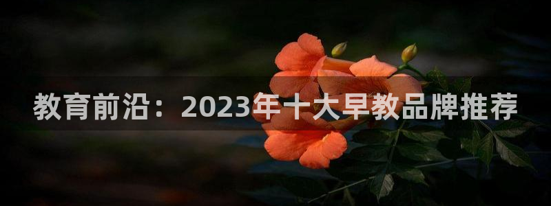 天狮娱乐138do点c0m:教育前沿:2023年十大早教品牌推荐
