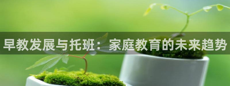 天狮娱乐i股t东64681：早教发展与托班：家庭教育的未来趋势