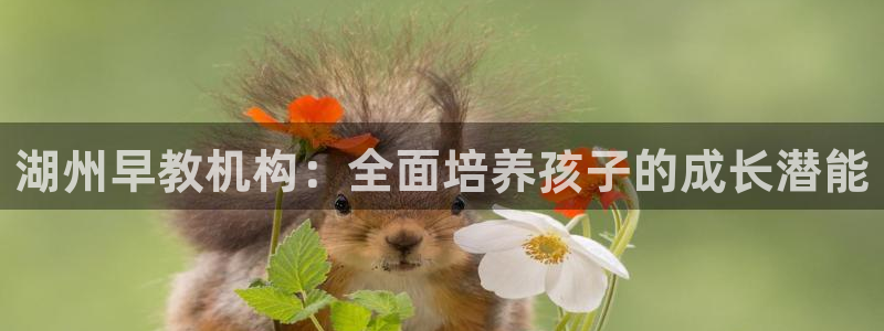天狮yl娱乐：湖州早教机构：全面培养孩子的成长潜能