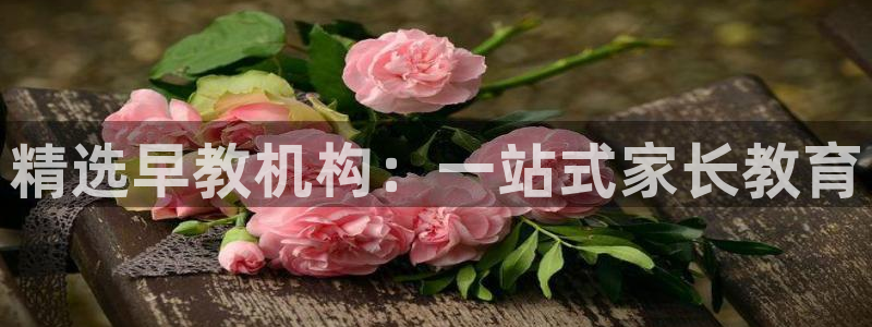 天狮娱乐 q823825515:精选早教机构:一站式家长教育