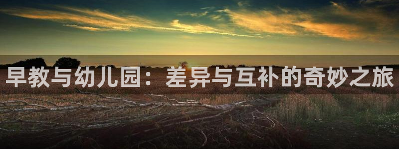 天狮娱乐 招商：早教与幼儿园：差异与互补的奇妙之旅