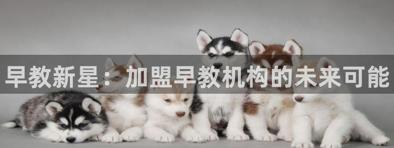 天狮娱乐 b运营67646：早教新星：加盟早教机构的未来可能