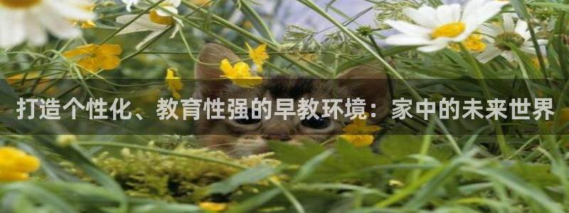 天狮娱乐平台贴吧：打造个性化、教育性强的早教环境：家中的未来世界