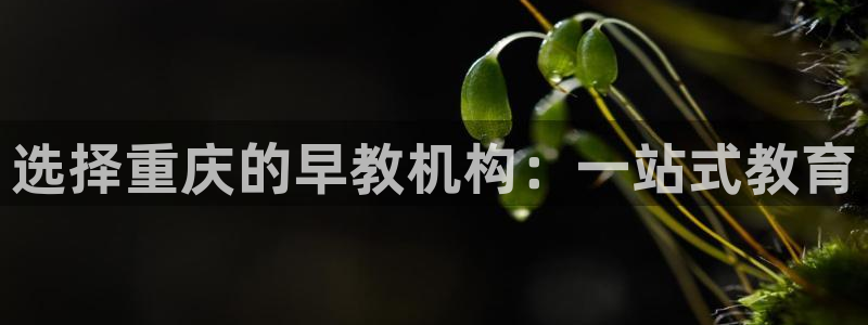 天狮娱乐反点啥意思:选择重庆的早教机构:一站式教育
