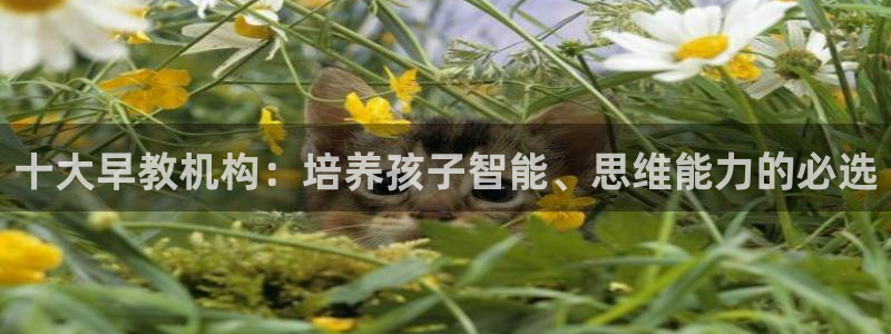 如何成为天狮娱乐的会员:十大早教机构:培养孩子智能、思维能力的必选