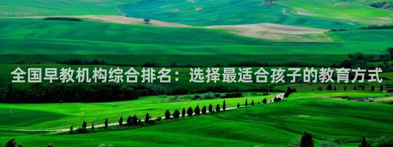 天狮娱乐 138:全国早教机构综合排名:选择最适合孩子的教育方式