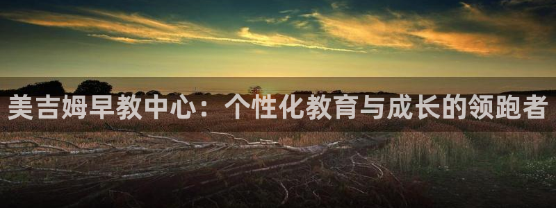 天狮娱乐彩票怎么样:美吉姆早教中心:个性化教育与成长的领跑者