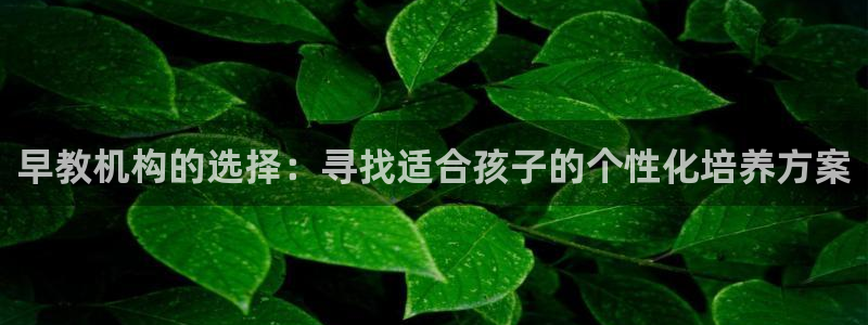 天狮娱乐注册官方:早教机构的选择:寻找适合孩子的个性化培养方案