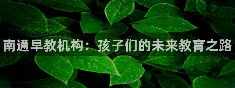 苏州狮山龙湖天街娱乐:南通早教机构:孩子们的未来教育之路