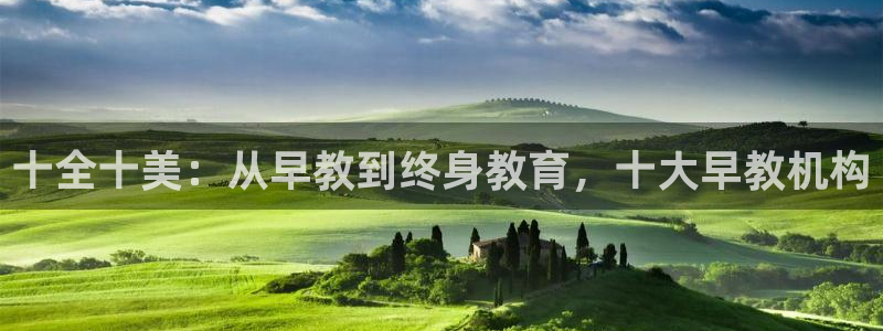 天狮娱乐q39096s:十全十美:从早教到终身教育,十大早教机构