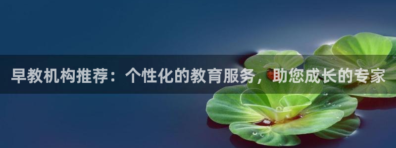 龙湖狮山天街苏州娱乐：早教机构推荐：个性化的教育服务，助您成长的专家