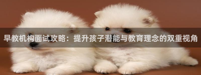 天狮娱乐p实 权：早教机构面试攻略：提升孩子潜能与教育理念的双重视角