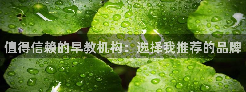 天狮娱乐39869股东：值得信赖的早教机构：选择我推荐的品牌
