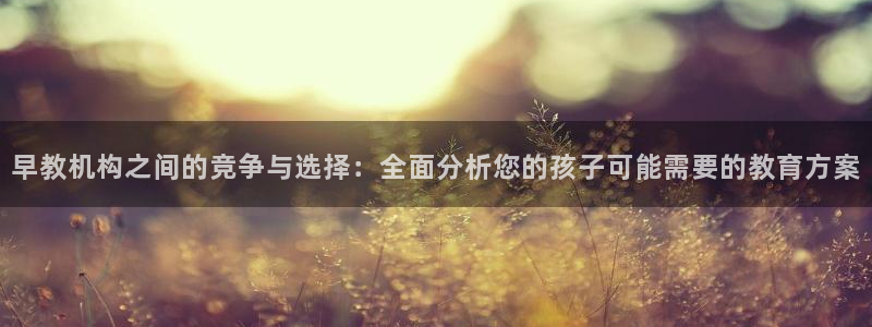 天狮娱乐主招商：早教机构之间的竞争与选择：全面分析您的孩子可能需要的教育方案