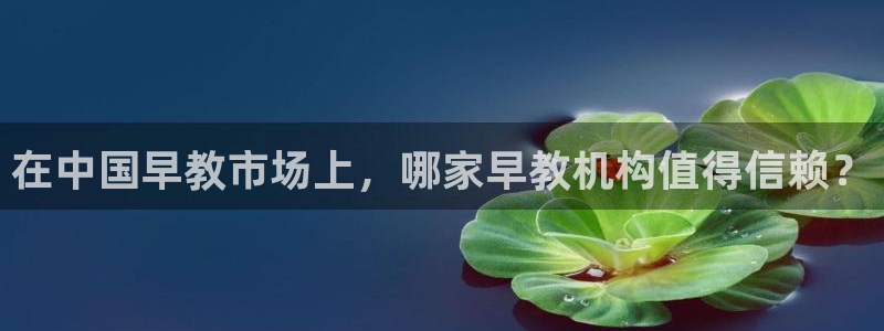 天狮娱乐 股s东50015：在中国早教市场上，哪家早教机构值得信赖？