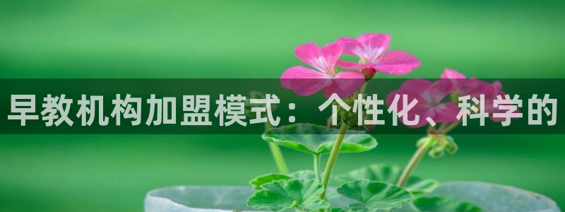 天狮娱乐_99399天神_加扣C:早教机构加盟模式:个性化、科学的