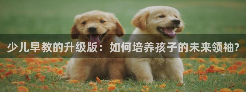 天狮娱乐官网登录:少儿早教的升级版:如何培养孩子的未来领袖?