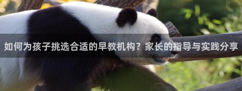 天狮娱乐会所:如何为孩子挑选合适的早教机构?家长的指导与实践分享