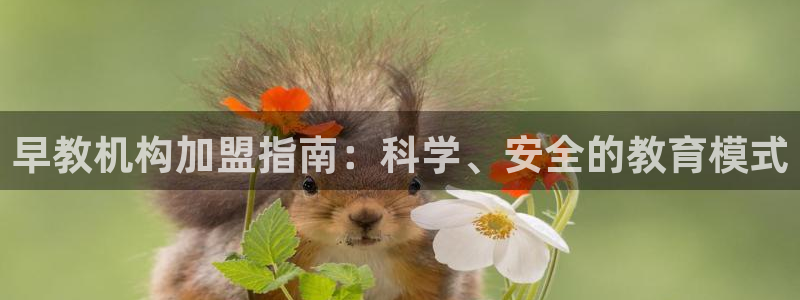 天狮娱乐招商66六26：早教机构加盟指南：科学、安全的教育模式