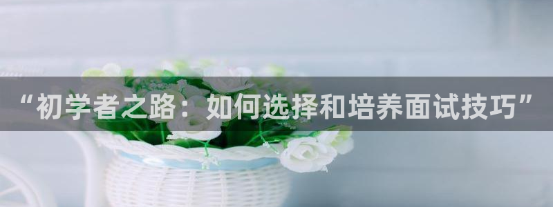 天狮娱乐会员：“初学者之路：如何选择和培养面试技巧”