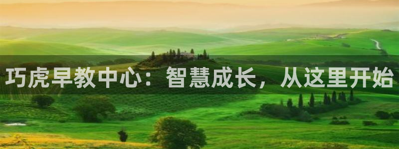 天狮娱乐：巧虎早教中心：智慧成长，从这里开始
