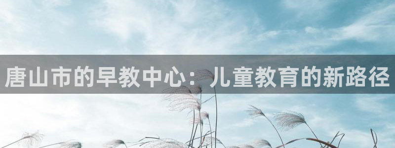 天狮娱乐是正规平台吗：唐山市的早教中心：儿童教育的新路径
