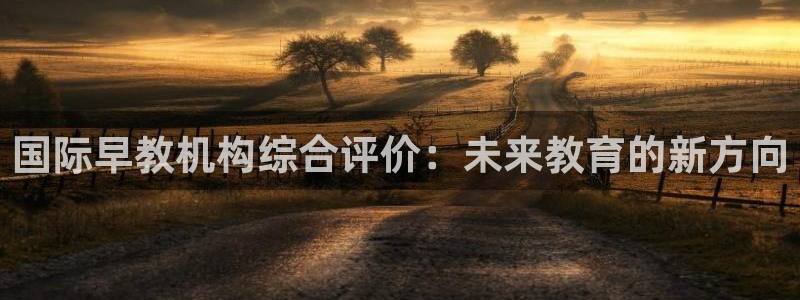 天狮娱乐分分彩：国际早教机构综合评价：未来教育的新方向