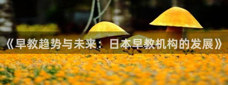 天狮娱乐电脑版：《早教趋势与未来：日本早教机构的发展》