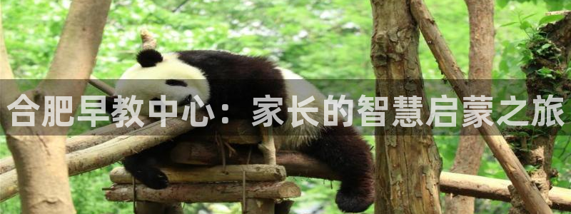 天狮学院娱乐设施有哪些：合肥早教中心：家长的智慧启蒙之旅