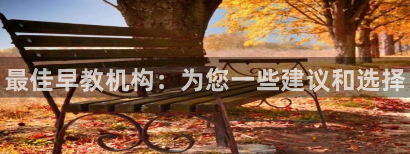 天狮娱乐反点啥意思：最佳早教机构：为您一些建议和选择