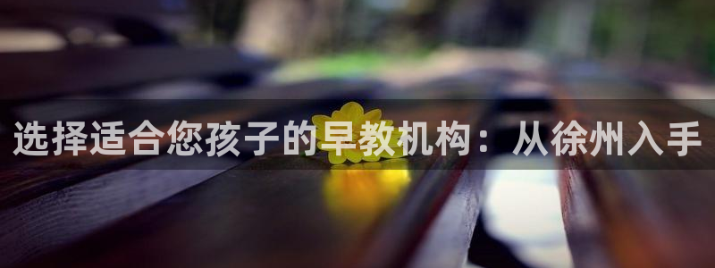 天狮娱乐网：选择适合您孩子的早教机构：从徐州入手