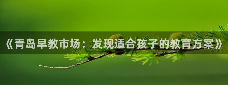 天狮娱乐返点：《青岛早教市场：发现适合孩子的教育方案》