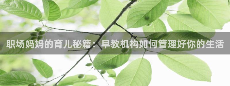 天狮娱乐手机app：职场妈妈的育儿秘籍：早教机构如何管理好你的生活