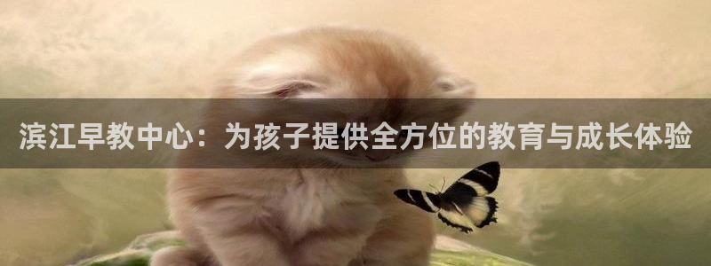 天狮娱乐真的：滨江早教中心：为孩子提供全方位的教育与成长体验